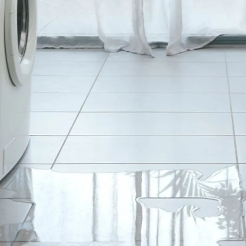 Appliance Leak Cleanup in Brazos County, TX