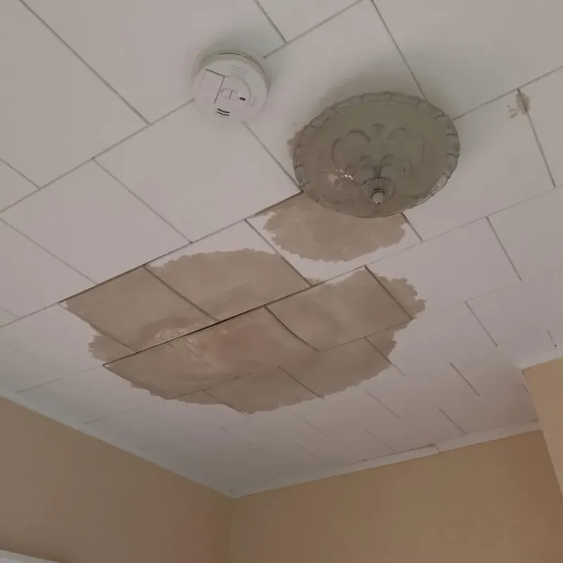 Ceiling Water Damage Repair in Brazos County, TX